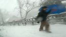 Snowstorm - Mt Lushan, China